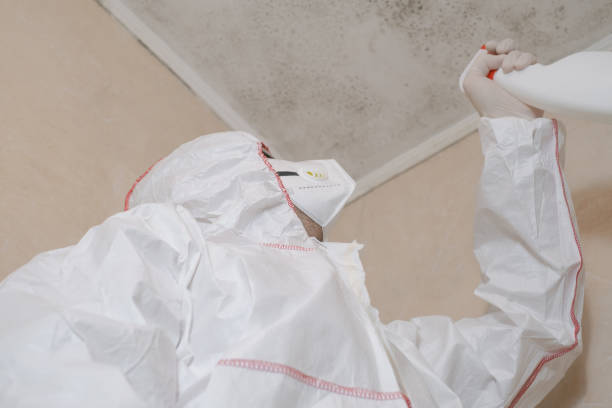 Best Commercial Mold Remediation in Brown City, MI