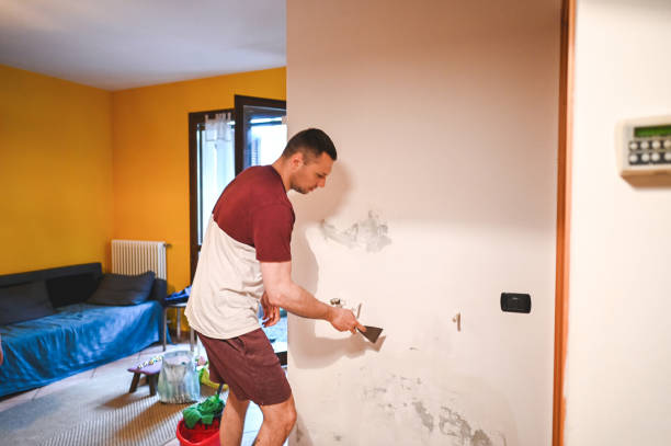 Best Localized Mold Remediation (e.g., coastal areas, humid climates) in Brown City, MI